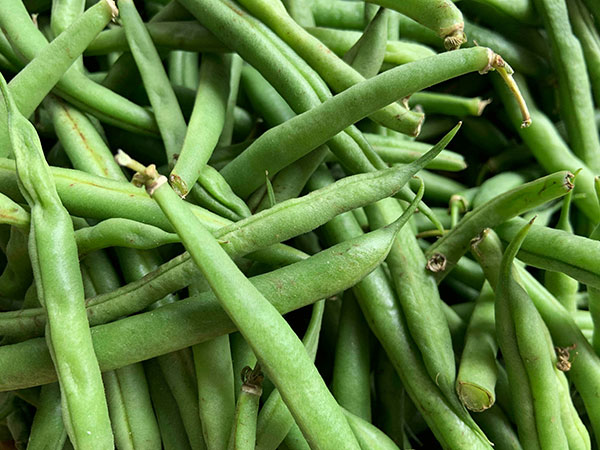 Read more about the article Hot Green Bean & Potato Puree  From Cooking for Healthy Healing, by Linda Reetor-Page