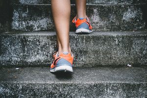 Read more about the article Cardiovascular Health