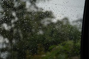Read more about the article How to keep cheerful when the weather looks grey?