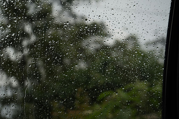 Read more about the article How to keep cheerful when the weather looks grey?