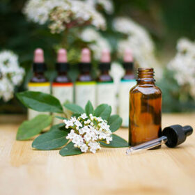 Homeopathic practice guidelines Homeopathic practice guidelines