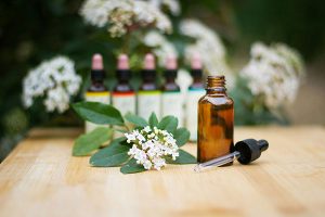 Read more about the article Homeopathic Practice: general guidelines for clients